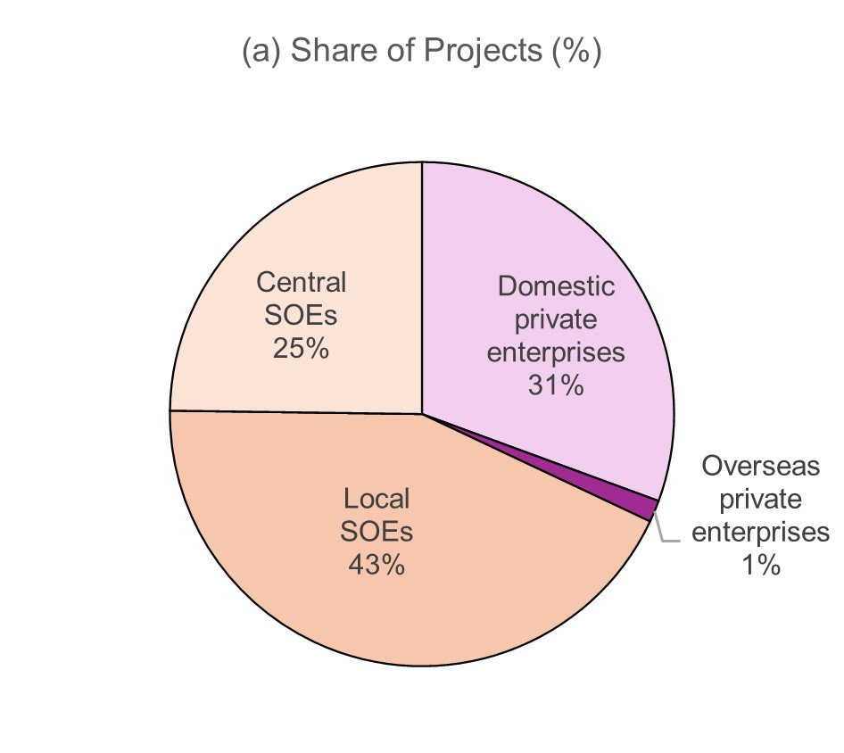 Share of PPP projects by lead-firm ownership