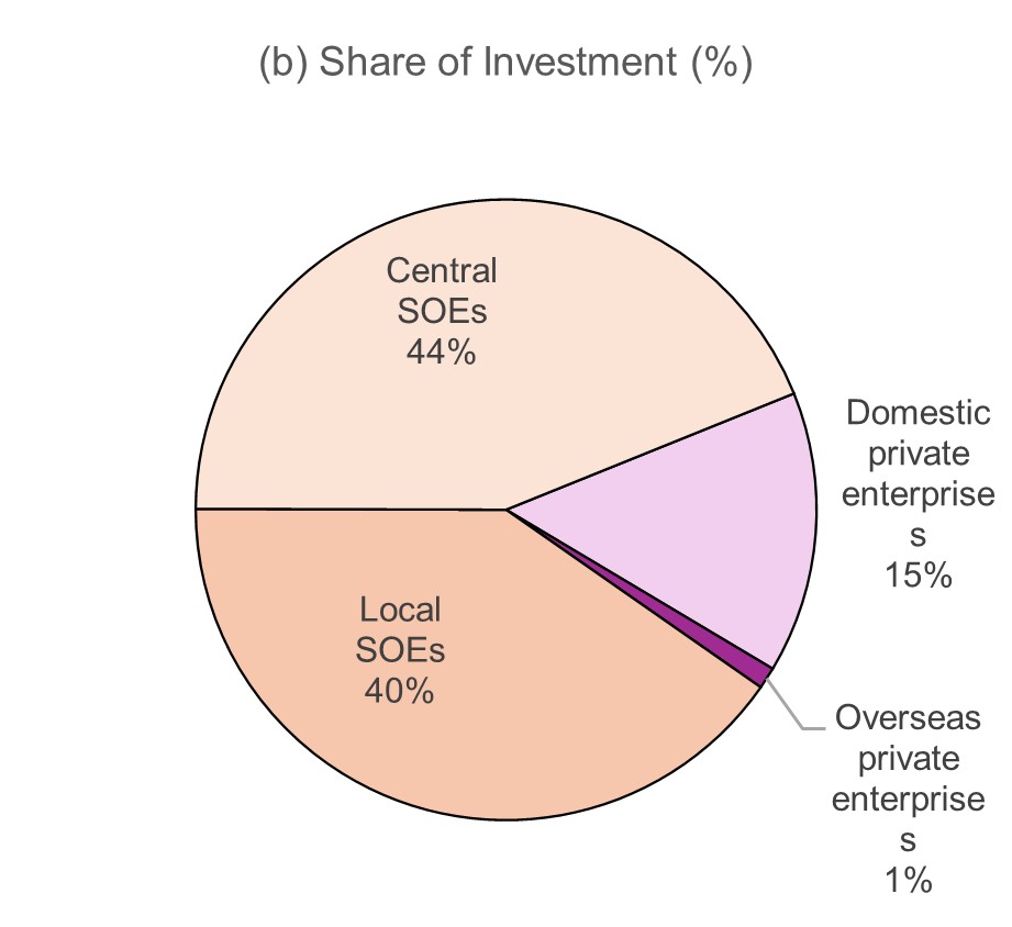 Share of PPP investment by lead-firm ownership